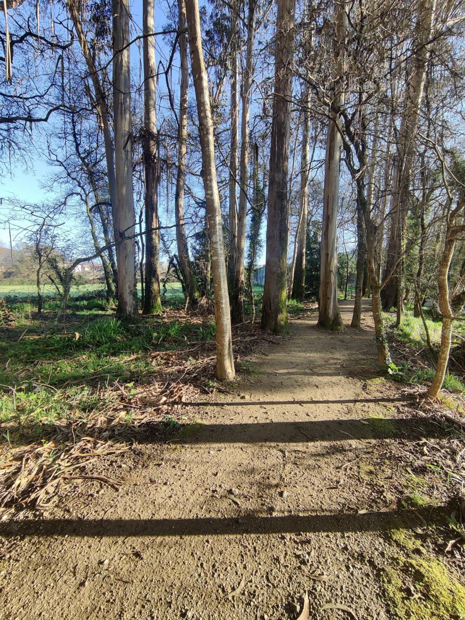 Apartamento Rio Gallo Cuntis Buitenkant foto